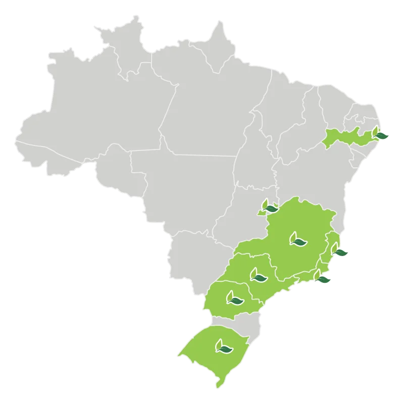 mapa-para-site